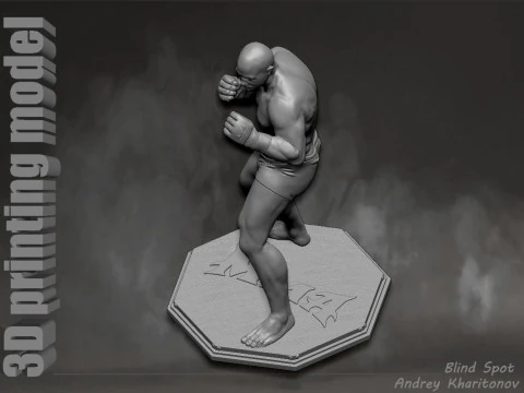 Fedor Emelianenko 3D Print Model
