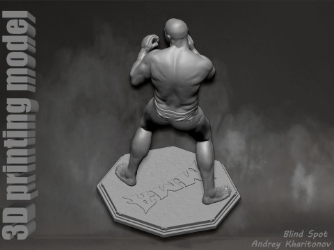 Fedor Emelianenko 3D Baskı Modeli