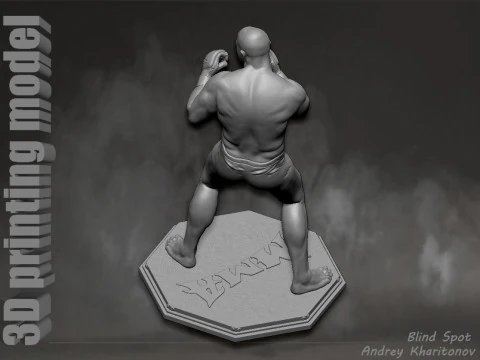 Fedor Emelianenko 3D Print Model