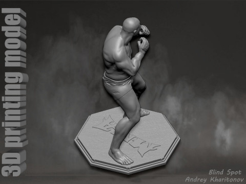 Fedor Emelianenko 3D Baskı Modeli