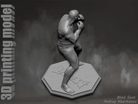 Fedor Emelianenko 3D Print Model