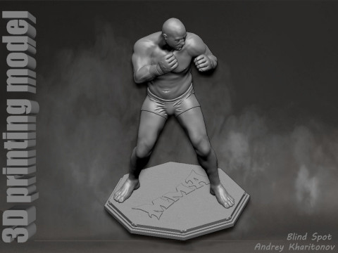 Fedor Emelianenko 3D Baskı Modeli
