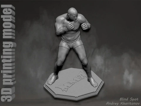 Fedor Emelianenko 3D Print Model