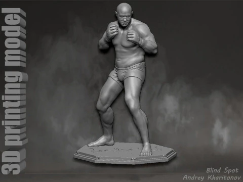 Fedor Emelianenko 3D Print Model