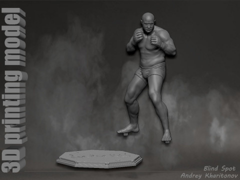 Fedor Emelianenko 3D Baskı Modeli