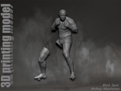 Fedor Emelianenko 3D Baskı Modeli