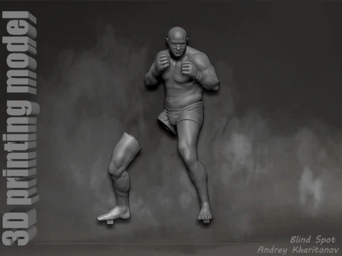 Fedor Emelianenko 3D Print Model