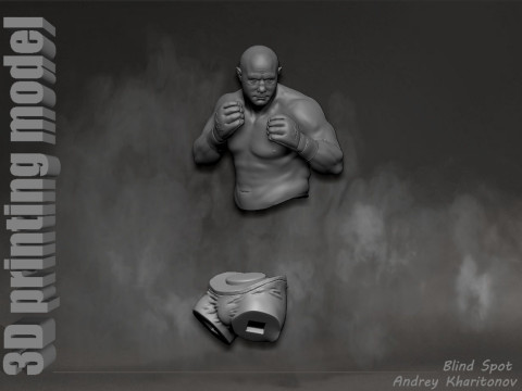 Fedor Emelianenko 3D Baskı Modeli