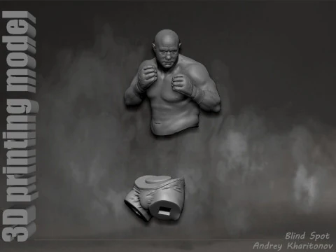 Fedor Emelianenko 3D Print Model