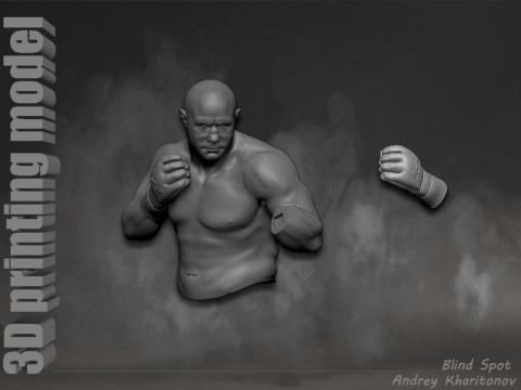 Fedor Emelianenko 3D Baskı Modeli