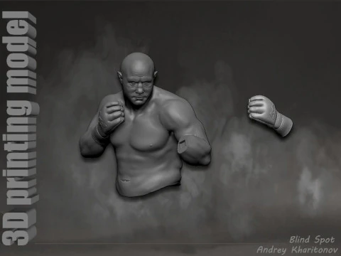 Fedor Emelianenko 3D Print Model