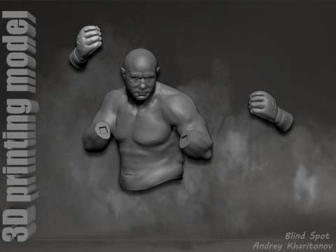 Fedor Emelianenko 3D Baskı Modeli