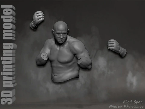 Fedor Emelianenko 3D Print Model