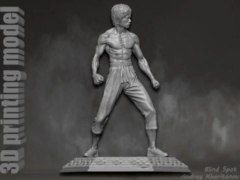 Bruce Lee 3D Print Model