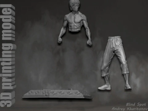Bruce Lee 3D Print Model