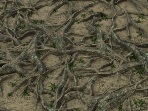 roots CG 텍스쳐