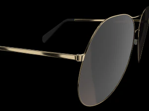 sunglasses 3D Model