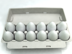 dozen eggs tray 3D Model