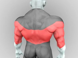 jiren 3d dragon ball super 3D Model