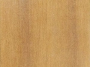 wooden door 3D Model