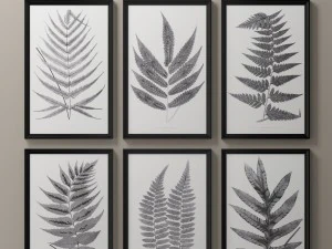 праворуч плакати 1859 англійська колекція папороті - білий 3D Модель