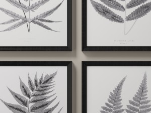 rh posters 1859 english fern print collection - white 3D Model
