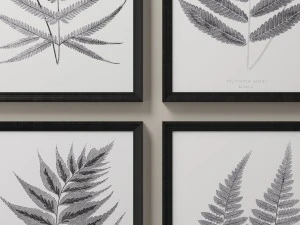 rh posters 1859 english fern print collection - white 3D Model