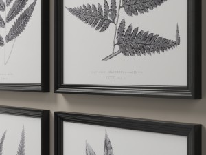 rh posters 1859 english fern print collection - white 3D Model