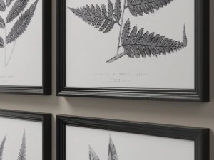 rh posters 1859 english fern print collection - white 3D Model