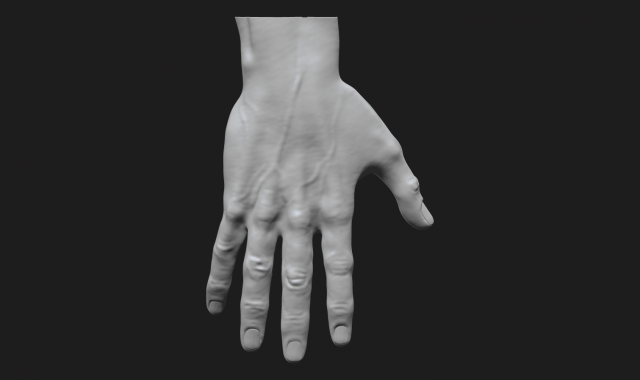 perfect hand Model 3D .c4d .max .obj .3ds .fbx .stl .blend