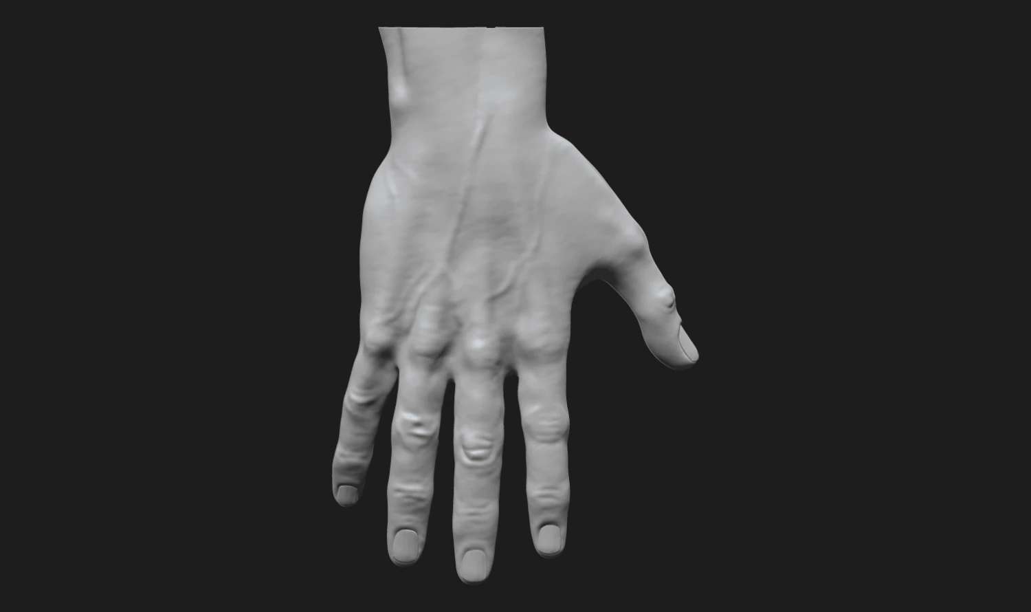 perfect hand 3D Model .c4d .max .obj .3ds .fbx .stl .blend 