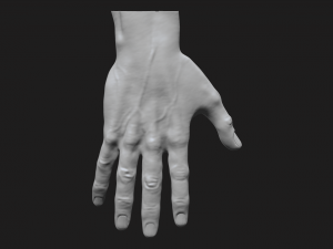 perfect hand Modelo 3D