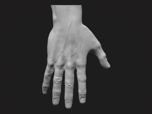 mano perfetta Modello 3D