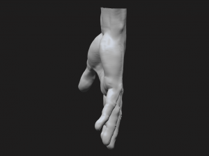 perfect hand Model 3D