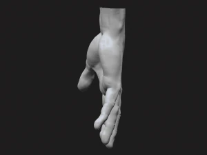 perfect hand 3D Model