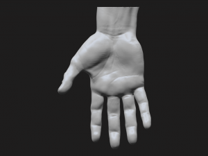 perfect hand Model 3D