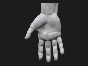 perfect hand 3D Model