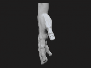 perfect hand Model 3D