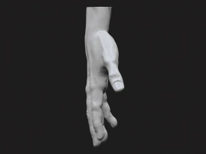 perfect hand 3D Model