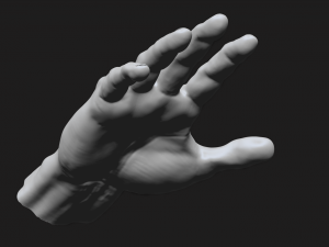 perfect hand Model 3D