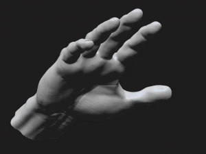perfect hand 3D Model