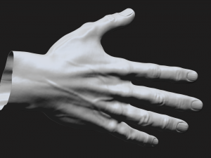 perfect hand Model 3D