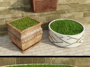 decorative grasses set 3D 모델