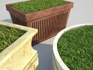decorative grasses set 3D मॉडल