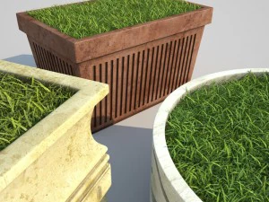 decorative grasses set 3D Model