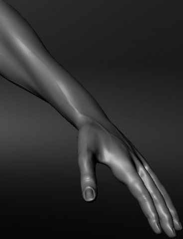 realistic adult male body model with normal map 3D Модель .c4d .max .obj .3ds .fbx .stl .blend 