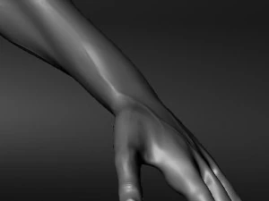 노멀 맵을 사용한 현실적인 성인 남성 신체 모델 3D 모델