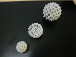 radyolarya 3D Print Model