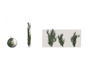 ivy 3D Model
