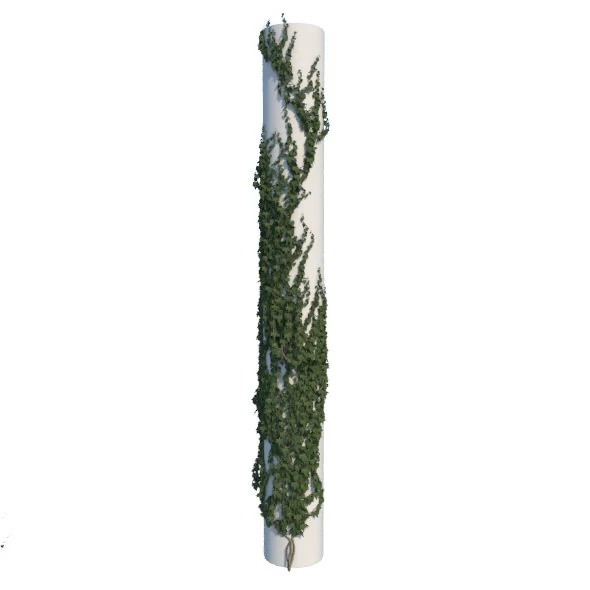 ivy 3D Model .c4d .max .obj .3ds .fbx .stl .blend 